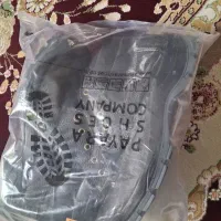 کفش ایمنی