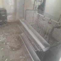قفس مرغ تخمکذار