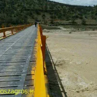 زمین برنجکاری روستای دروهان