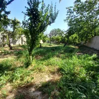 باغ-1200متری-مهرچین