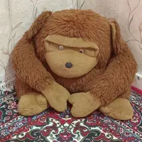 شپانزه