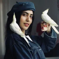 عکاسی در استان گیلان