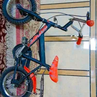 دوچرخه ۱۶ سالم
