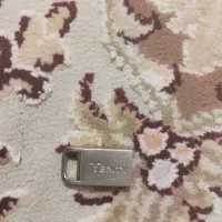 فلش