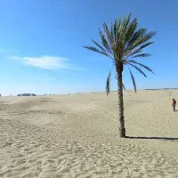 لیدرمحلی گردشگران هستم در سواحل مکران