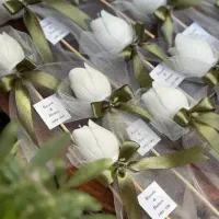 گیفت عروسی