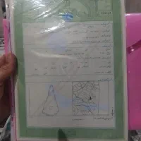زمین سند دار تک برگ