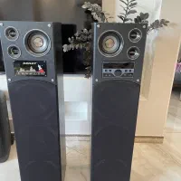 باند دوقلوی دنای