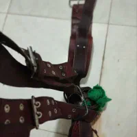 کمربند زیر علم محرم