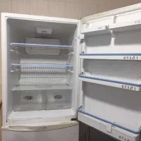 یخچال فریز ۴۰ فوت