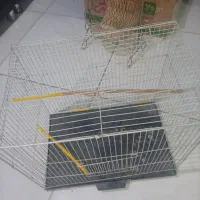 قفس بزرگ مناسب پرنده خرگوش