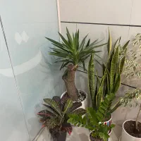 استخدام پرستار و نگهداری از کودک