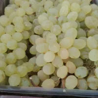 انگور درجه یک 85 تومن