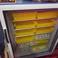 دستگاه جوجه کشی  ۴۲۰
