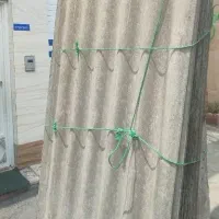 ایرانت