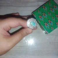 فلش نی س