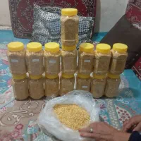 بزر فلفل و بادمجان 302/4172