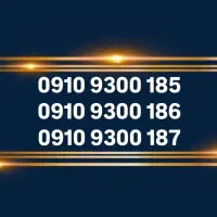 09109300186