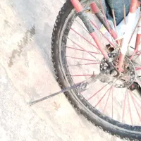 دوچرخه معاوضه باکبوتر