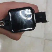کوئل اصلی چری