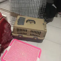 باکس سگ،سینی ادرار،پارک سگ