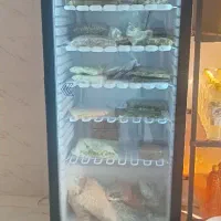 فریزر ایستاده نو