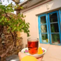 فروش-خانه