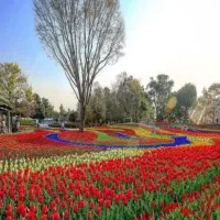 با عرض سلام خریدار باغ در محدوده گناباد