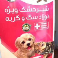 شیر خشک مخصوص نوزاد سگ و گربه