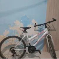 دوچرخه ۲۴