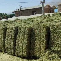 یونجه پرس