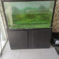 میز واکواریوم ۸میل سالم وپایه