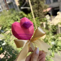 سفارش انواع کیک پاپسیکل