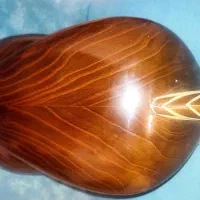 تار حرفه ای  کاوه شوقی