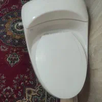 توالت فرنگی سالم بدون زدگی برند گلسار