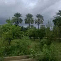 راننده پایه یک جویای کار میناب