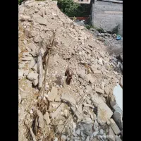 نوخاله