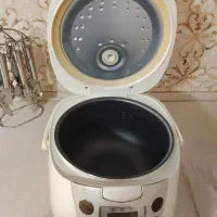 بخار پز 3کاره