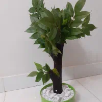 گل مصنوعی|گل مصنوعی|تهران, ارجمندی راد|دیوار