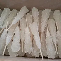 فروش عمده نبات