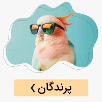 استخدام فروشنده خانم در پت شاپ