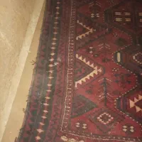 کلکسیون