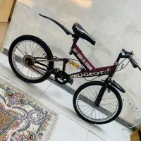 دوعدوچرخه سایز۲۰PEU GEOTو۱۶