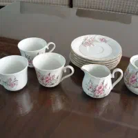 فنجان و نعلبکی چینی گل عروس