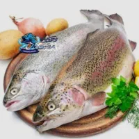 پخش سراسری ماهی تازه شمال تهران نیاوران صیدروز*