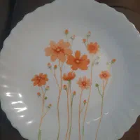 ارکوپال ۶نفره