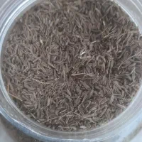 زیره 4000000تومان