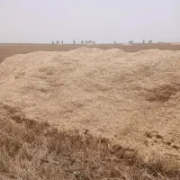 کاه فروشی