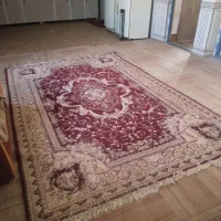 قالی 2/3|فرش|سرولایت, |دیوار