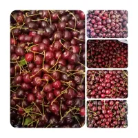 فروش گیلاس